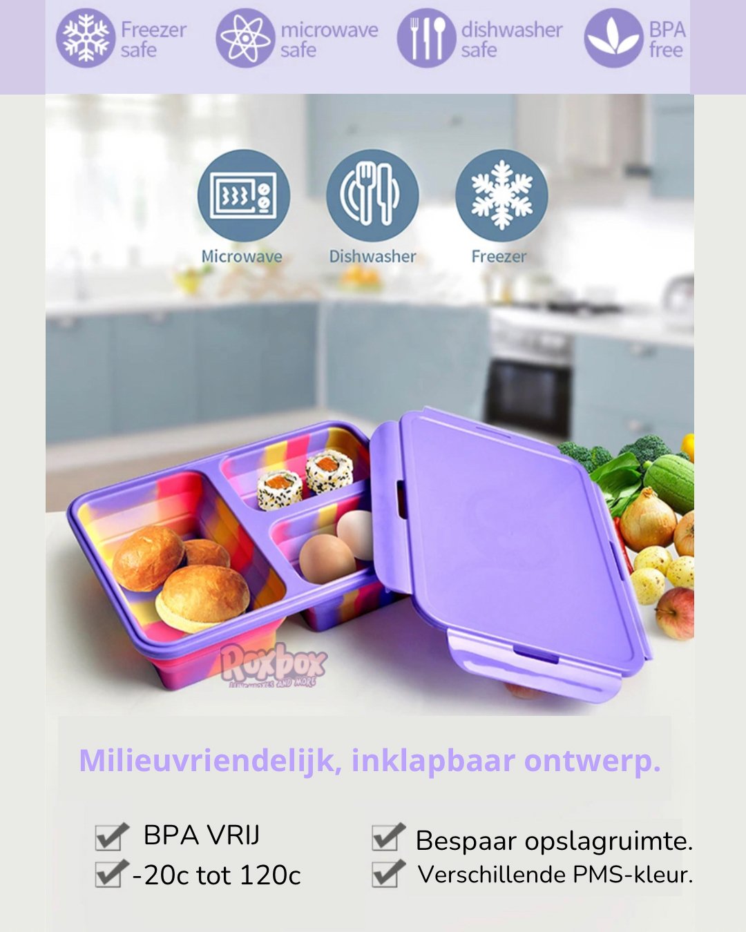 ColorSplash Lunchbox - Roxboxshop